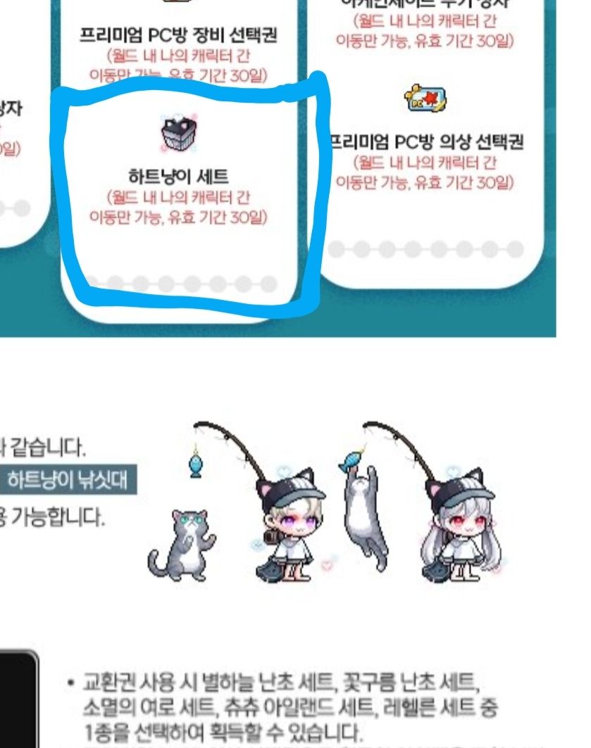 이 와중에 나는 고양이 코디가 좋다 - 메이플스토리 채널