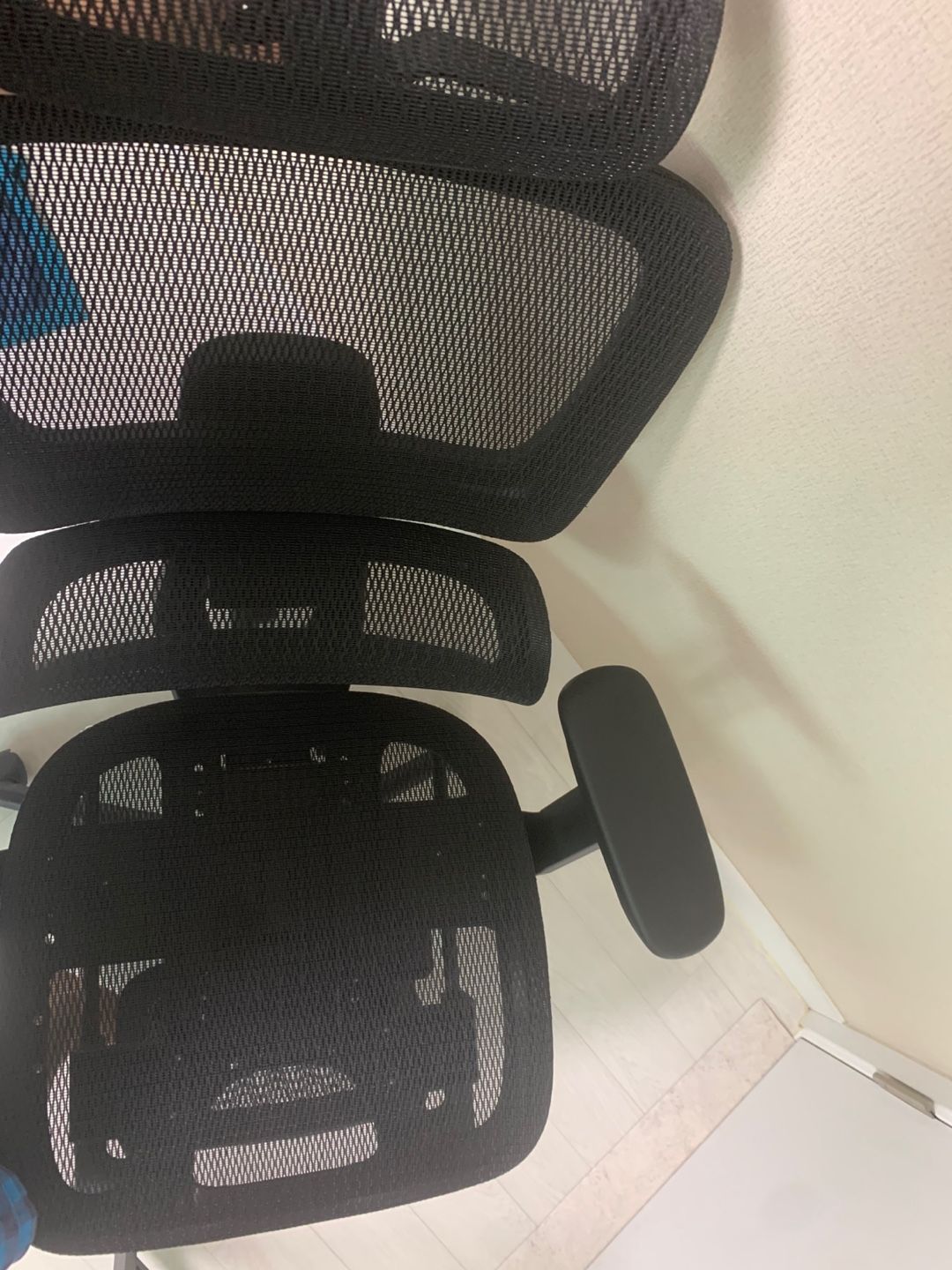 타오바오 의자 일명 짭르고 후기 - 샤인머스켓 채널